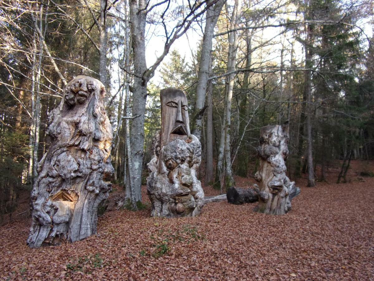 Gite Le Cerf De Belledonne Sainte-Agnes  Exterior photo