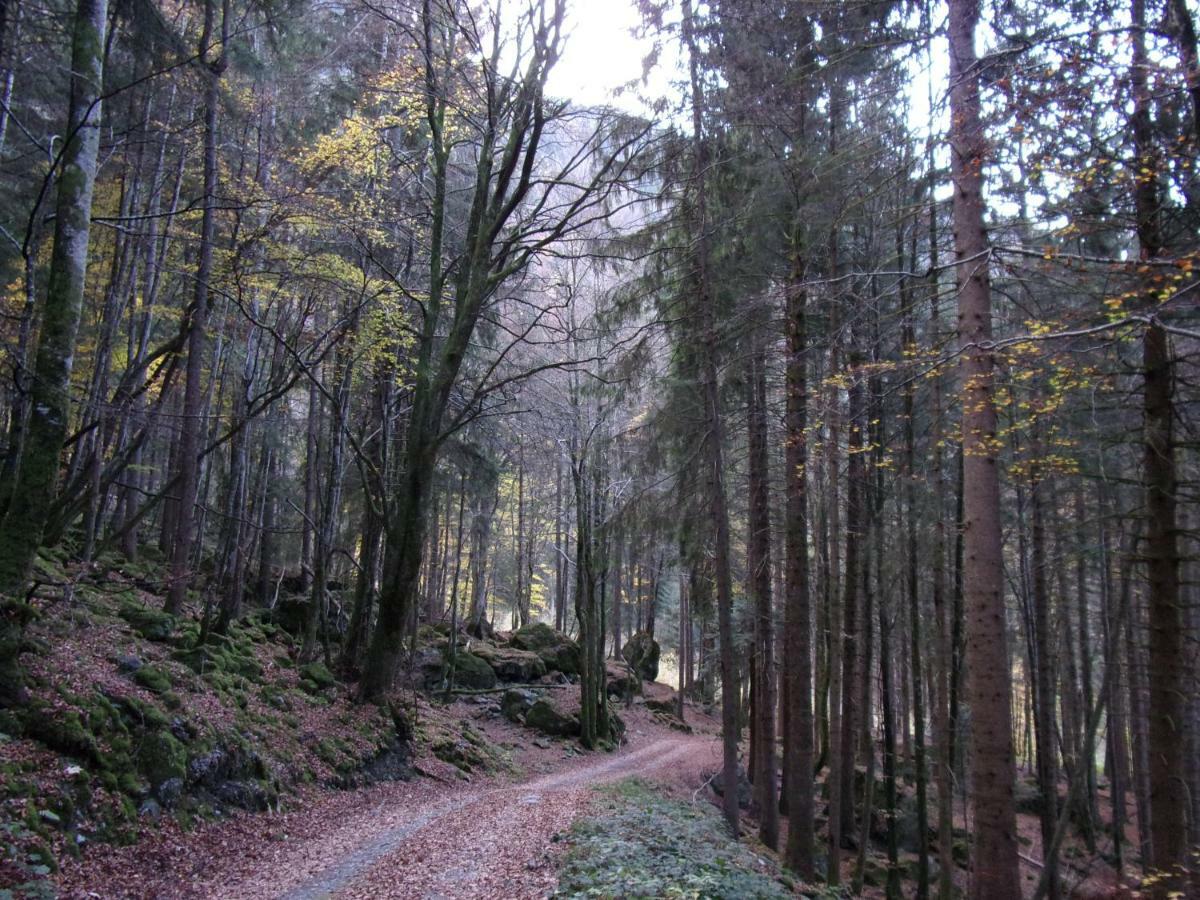 Gite Le Cerf De Belledonne Sainte-Agnes  Exterior photo